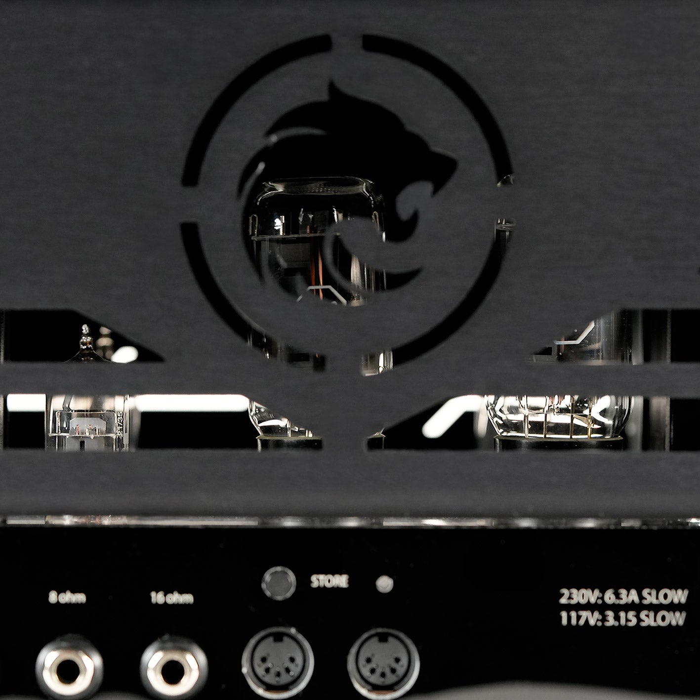 Close-up of power tubes behind the Lion grille on the Duality RS amplifier