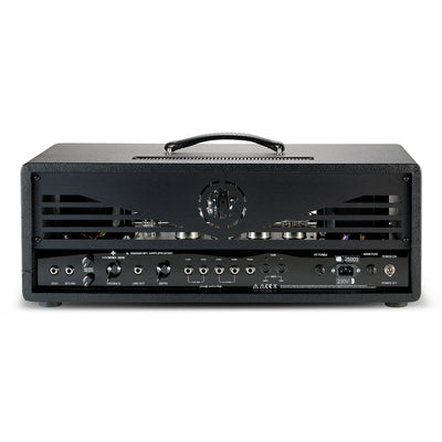 Hybrid 100 rear panel full view with connections